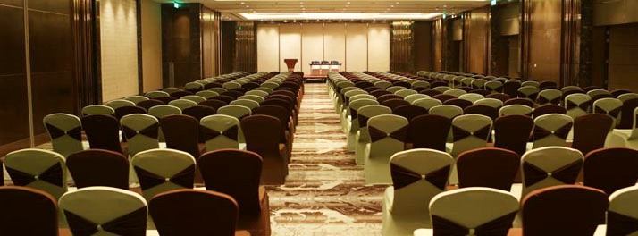 1242/The Pride Plaza Hotel - New Delhi 04.jpg